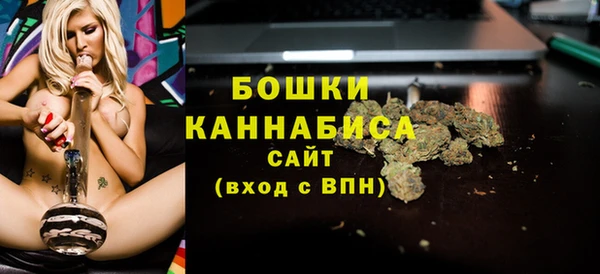 индика Беломорск