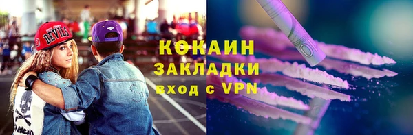 хмурый Белокуриха