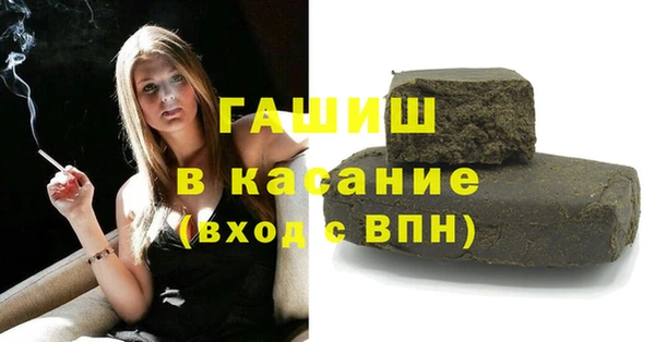 индика Беломорск