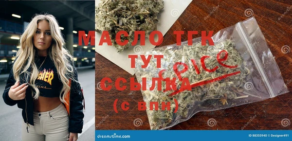 индика Беломорск