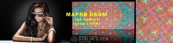 хмурый Белокуриха