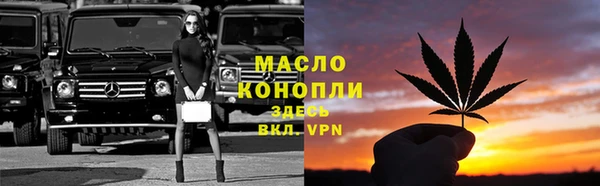 индика Беломорск