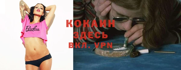 хмурый Белокуриха