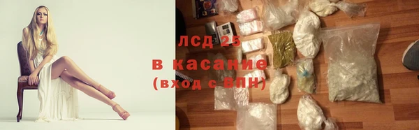 хмурый Белокуриха