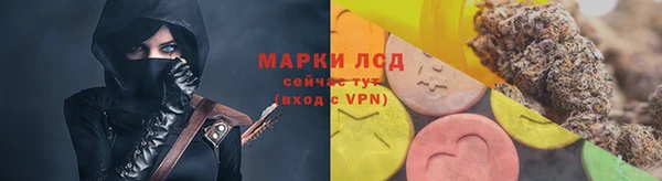 индика Беломорск