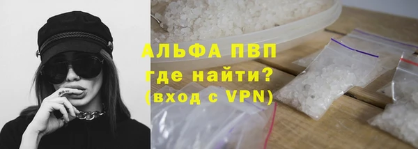 индика Беломорск
