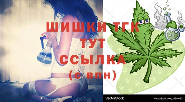 хмурый Белокуриха